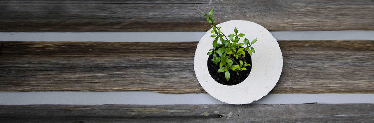DIY Concrete Planter