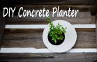DIY Concrete / Cement Planter