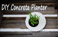 DIY Concrete / Cement Planter