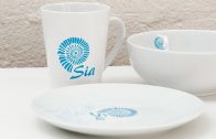 DIY – Photo Transfer ( Water – Slide Decal Paper) on to Ceramics